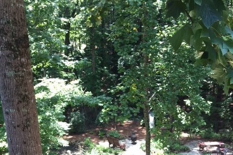 Wooded back yard - 7006 E Hills Way