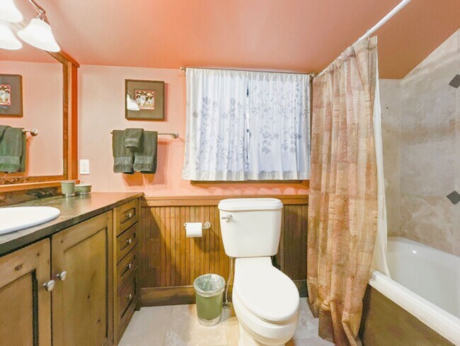 Building Photo - Enjoy Summer in Historic Breckenridge, Walk to Main Street! Bring your dog!