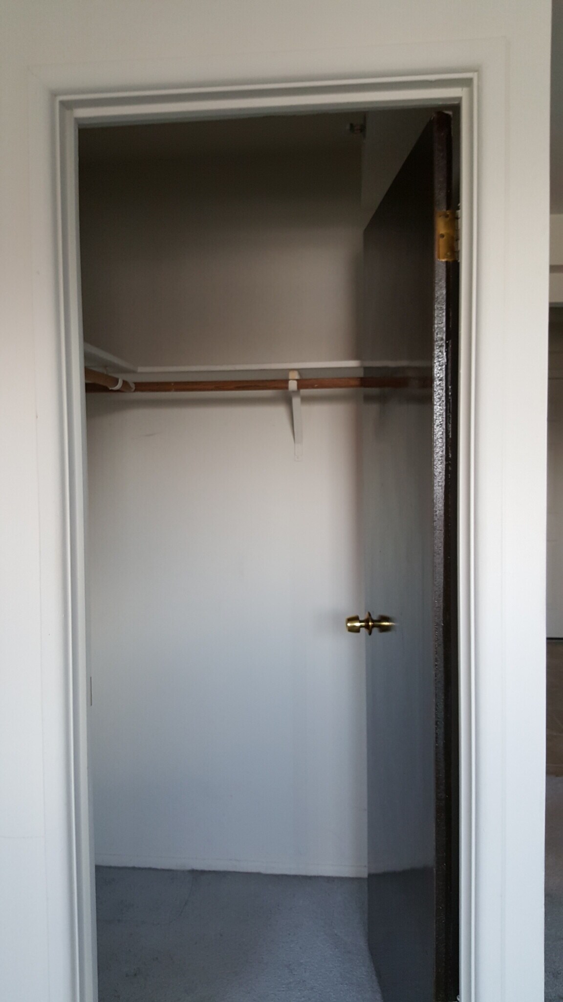 Building Photo - 1919 S Wolf Rd