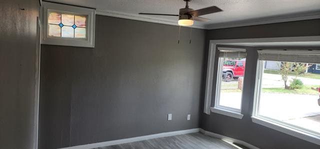 Building Photo - 104 Maxwell Rd