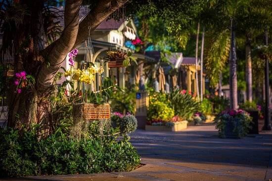 Building Photo - 128 Needle Palm Ln