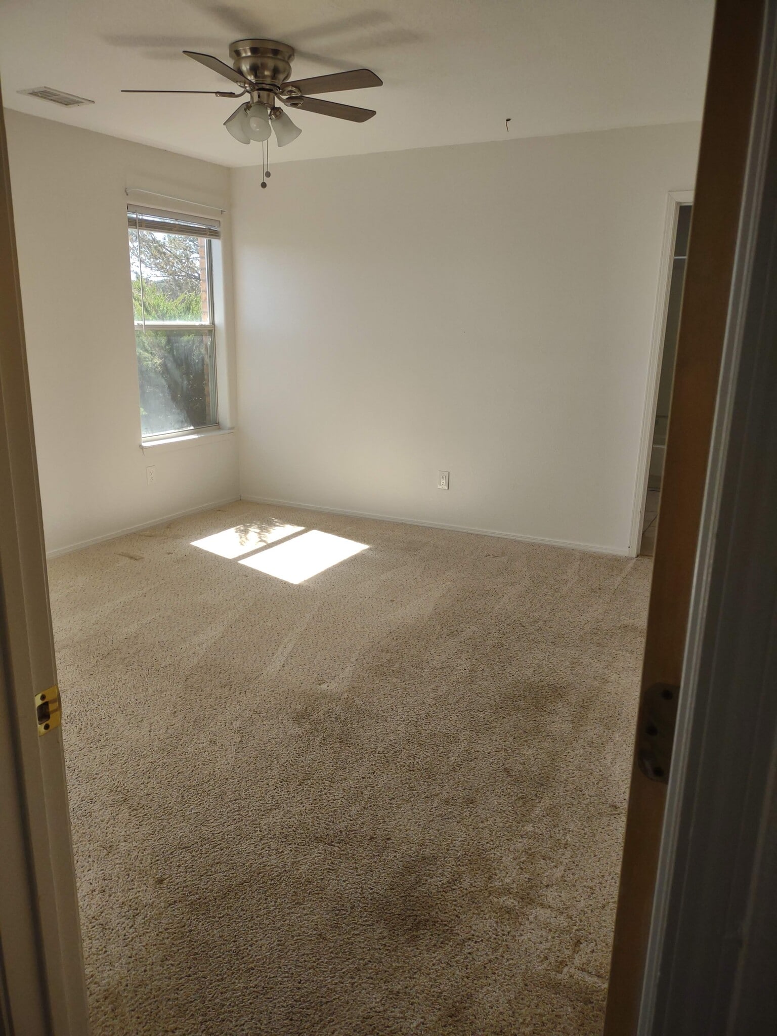 Building Photo - 20 Appaloosa Ln