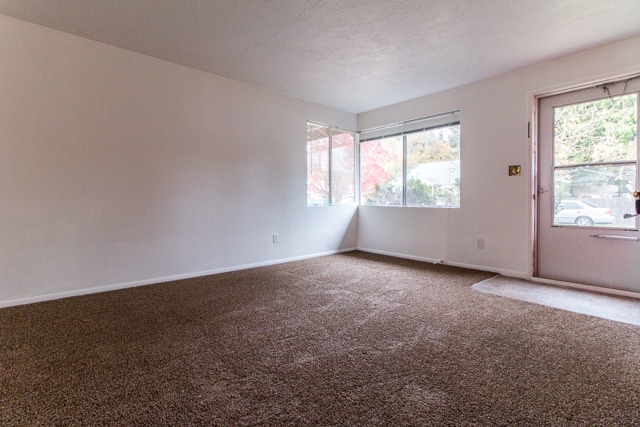 Building Photo - Great 1-Bedroom, 1-Bath Duplex With Large Bonus Room!
