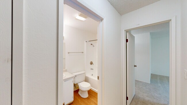 Building Photo - 445 Ignacio Blvd