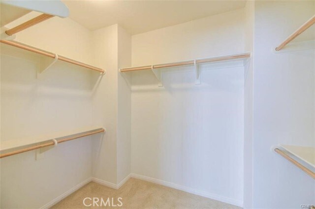 Building Photo - 99 Bianco