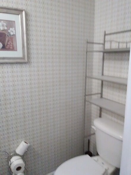 Downstairs half bath - 50 Douglas Rd