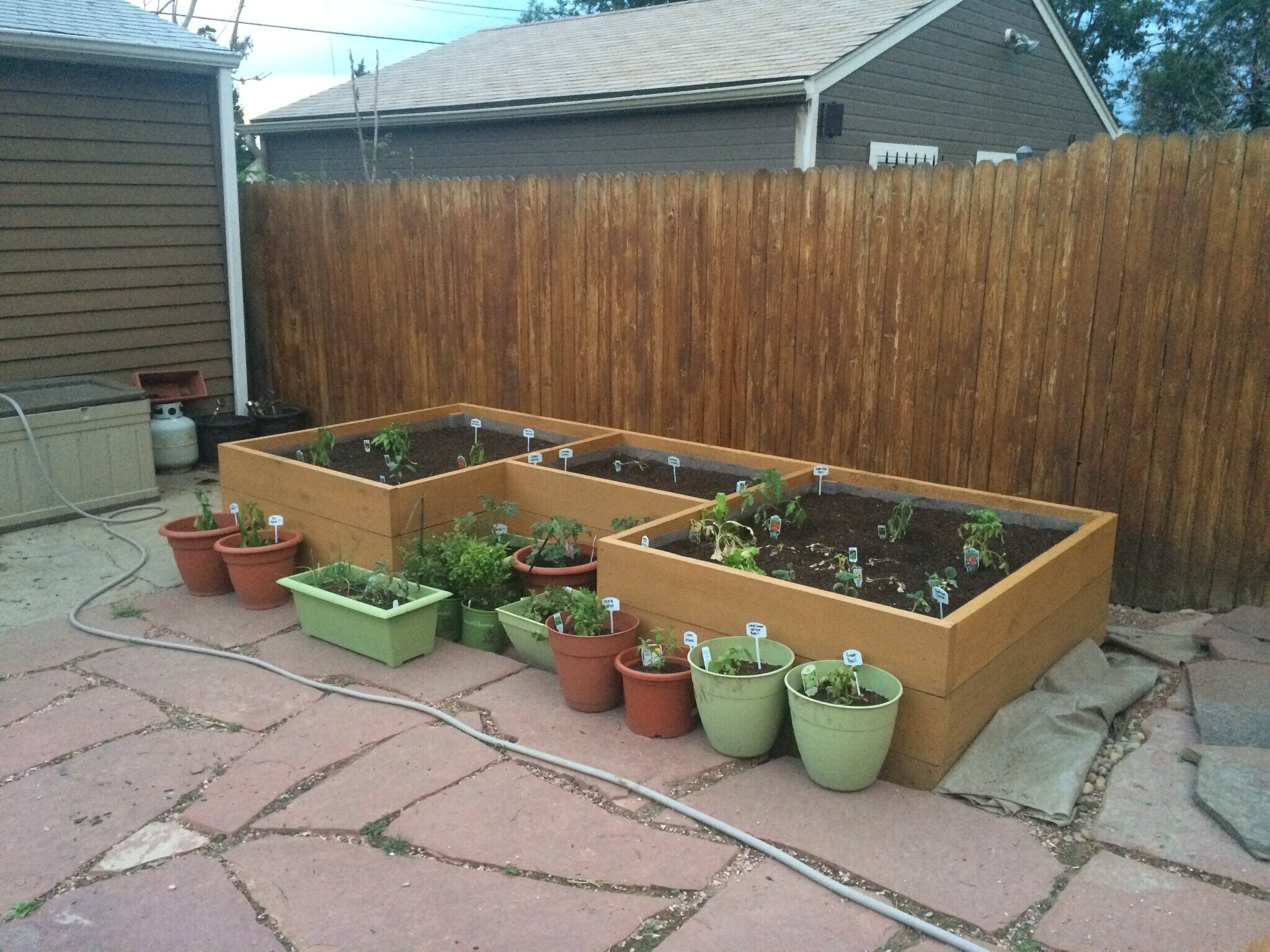 Raised bed garden (plants not included, bring your green thumb) - 3131 Milwaukee St