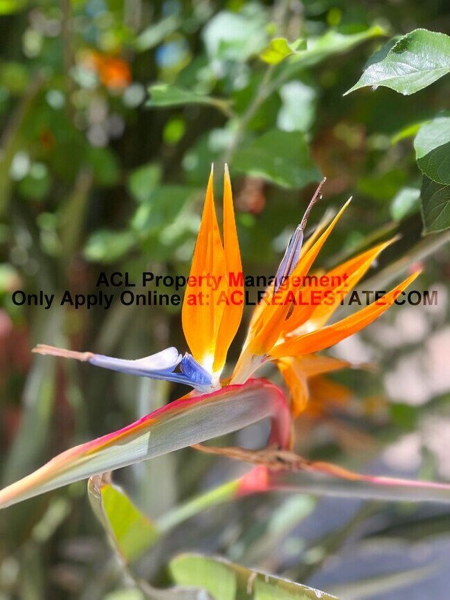 Building Photo - Spacious, 4 bed/ 3 bath Pittburg Home For ...