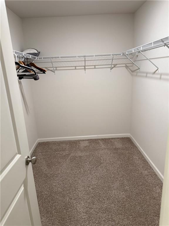 Building Photo - 2957 Cottage Ln