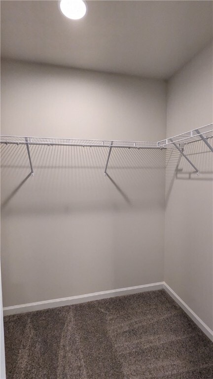 Building Photo - 249 Carvel Trl