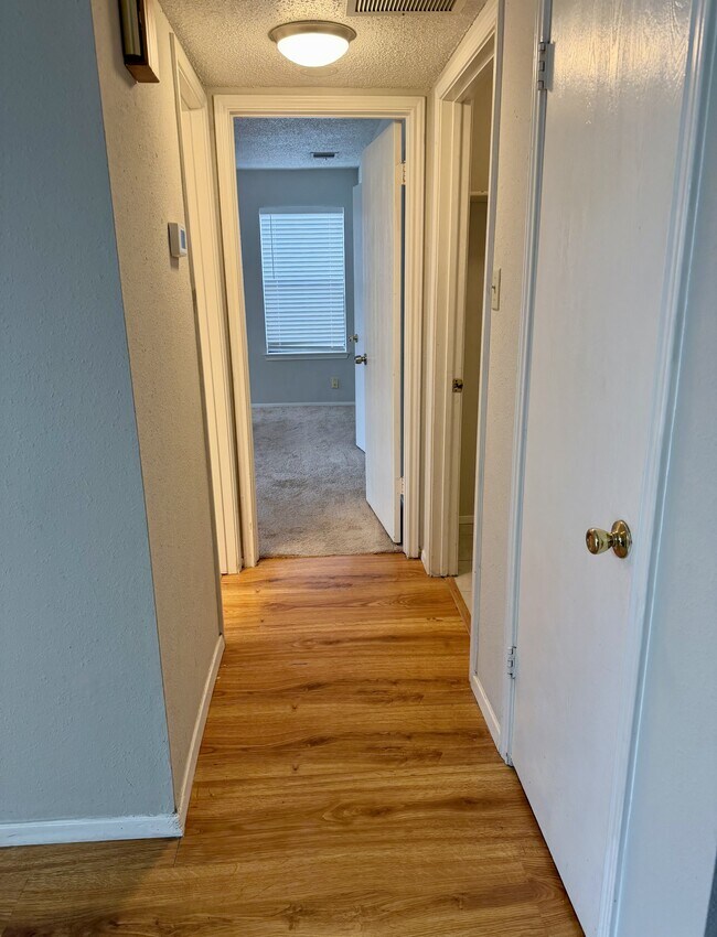 Building Photo - 1707 Honeysuckle Ln