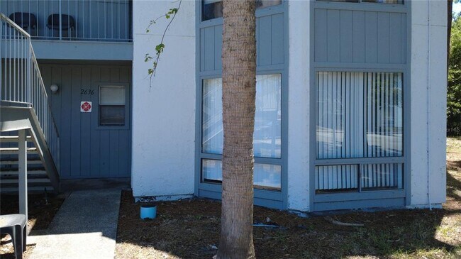 Building Photo - 2636 Lemon Tree Ln