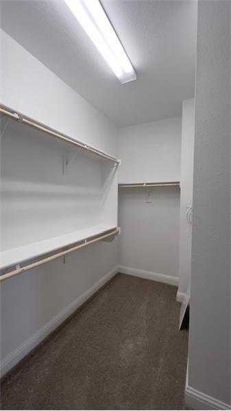 Building Photo - 10036 Durango Trail