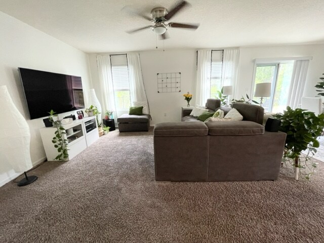 Building Photo - 253 Cody St