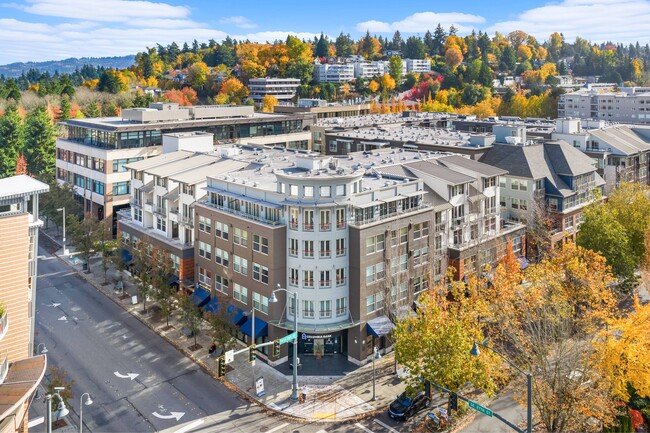 Building Photo - Island Square