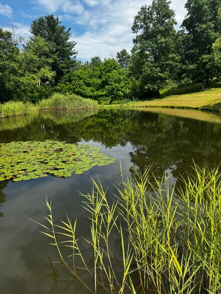 Pond - 1307 Dryden Rd