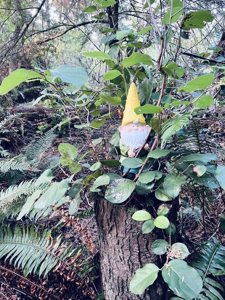 Building Photo - 26928 WA-525