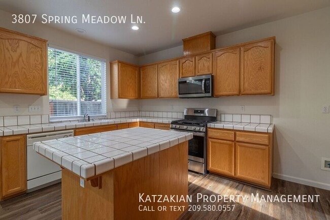 Building Photo - 3807 Spring Meadow Ln