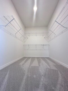 Building Photo - 1341 Wycliffe Wy