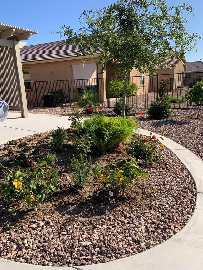 Building Photo - 22407 W Morning Glory St