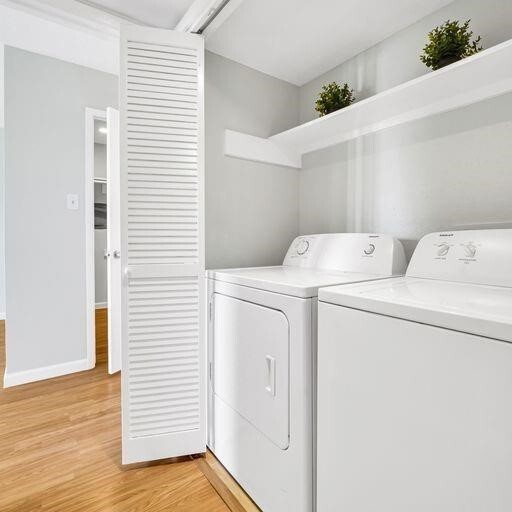 Building Photo - 10555 Turtlewood Ct