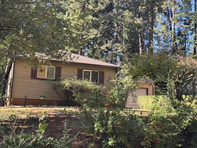 Building Photo - 10546 Silver Way