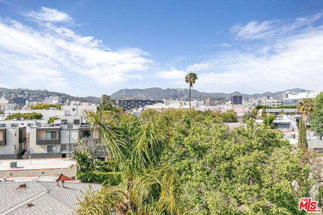 Building Photo - 815 N Las Palmas Ave
