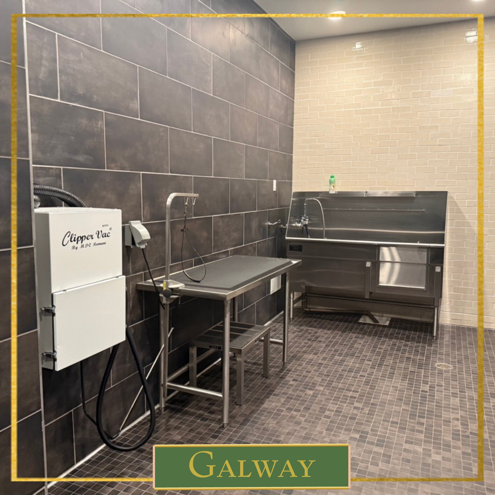 Building Photo - 3578 Rambla Pl