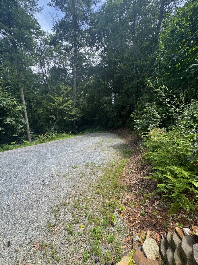 Building Photo - "Charming 3-Bed Retreat in Hendersonville with Cozy Fireplace."