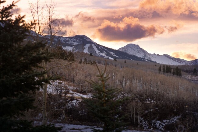 Building Photo - 821 Cluny Rd