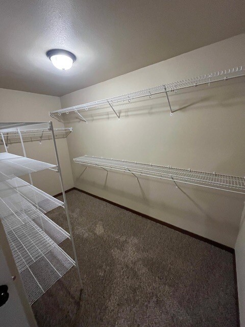 Building Photo - 62 Jaro Wy