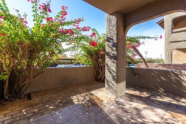 Building Photo - 3825 E Camelback Rd