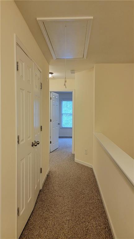 Building Photo - 3117 Pittard Hill Point