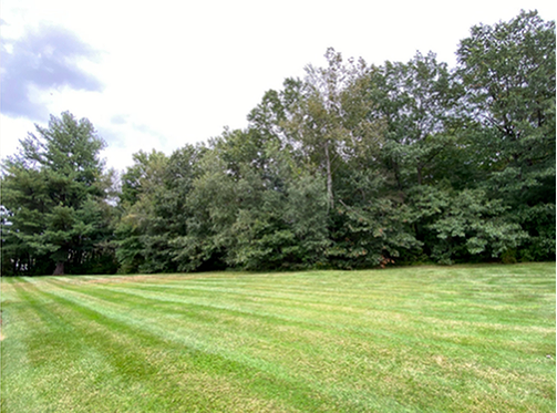 Enjoy fresh air and trees - Halfmoon Garden Apartments, LLC