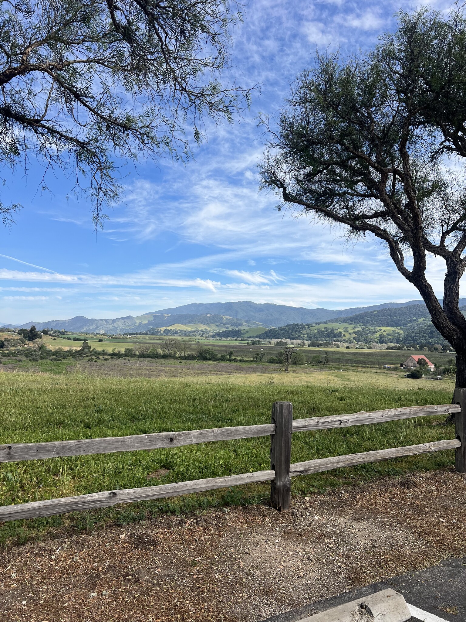 Building Photo - 1676 Maple Ave