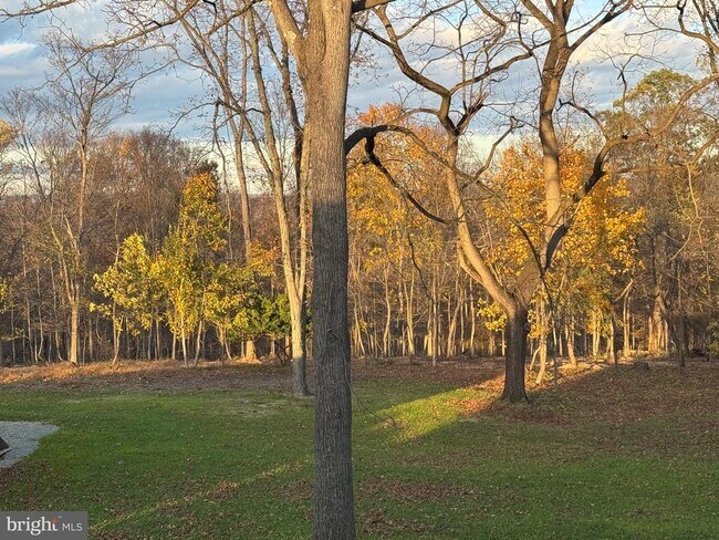 Building Photo - 55 Apple Hill Rd