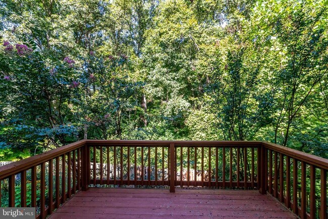 Building Photo - 7416 Spring Tree Dr