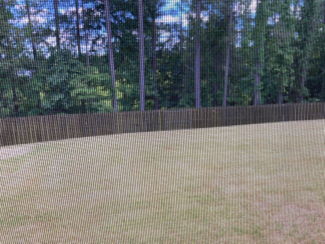 Building Photo - Spacious Grovetown Home