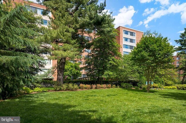 Building Photo - 4301 Massachusetts Ave NW