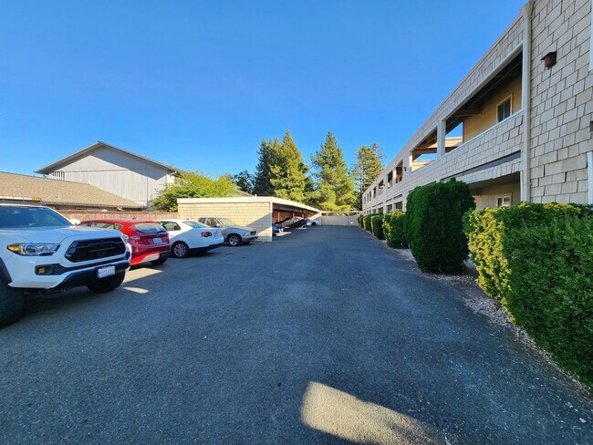 Building Photo - 2 Bedroom Bennett Valley Apartment