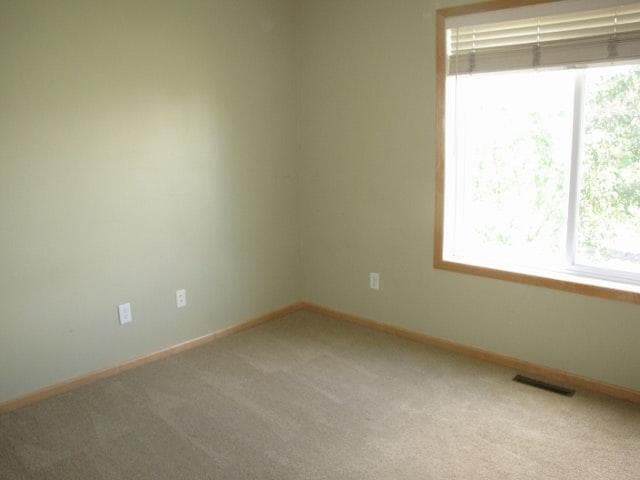 Building Photo - End Unit Town home *3Bedrm 2.5 Bath*Cottage Grove* Available July 1.