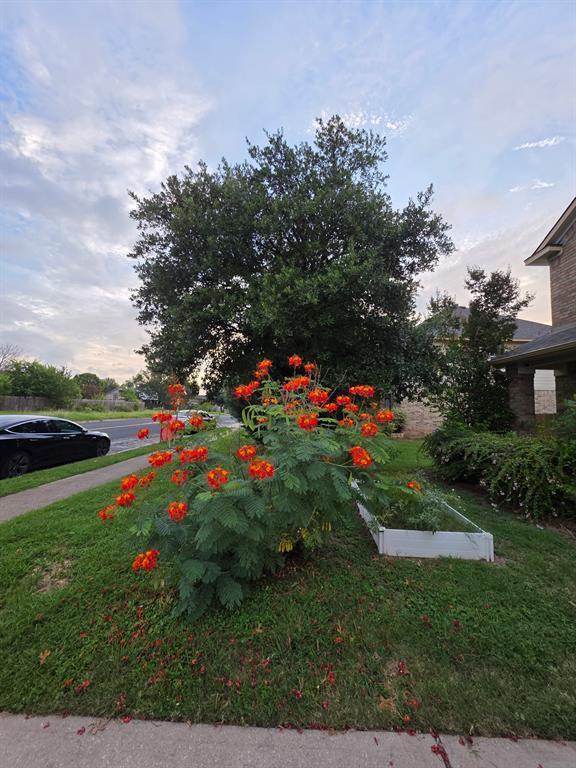 Building Photo - 8227 Liberty Walk Dr