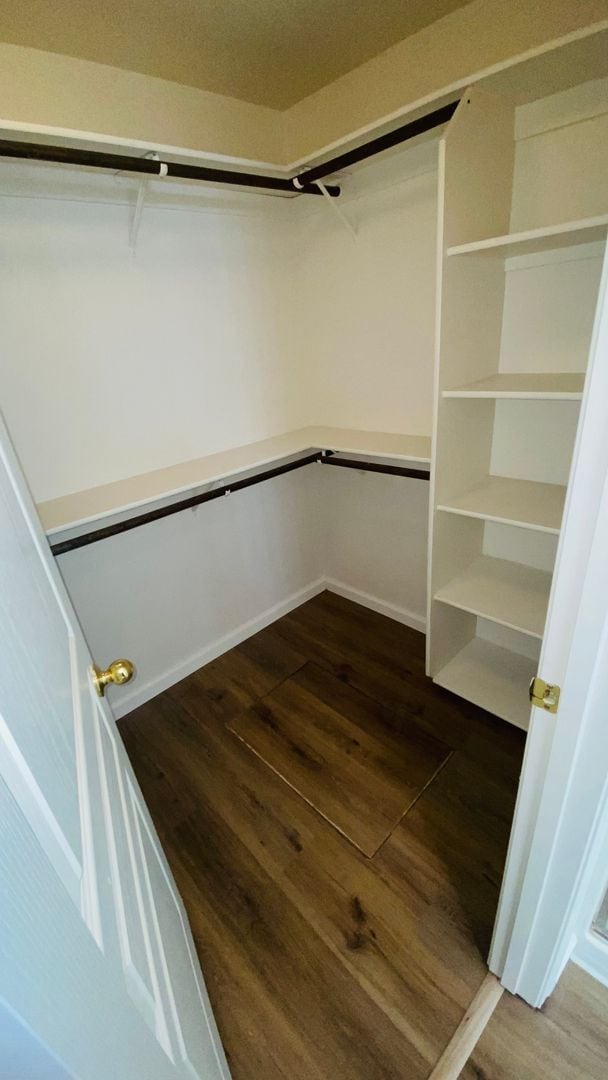 Building Photo - Gorgeous Remodeled Spacious 4 bedroom