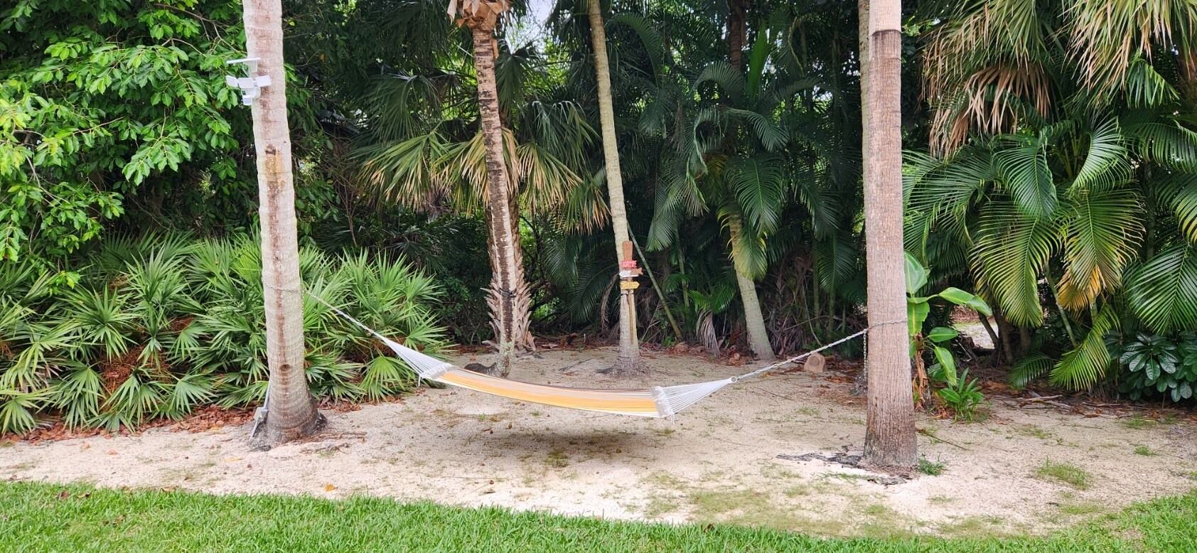 Yard - 1066 SE Saint Lucie Blvd