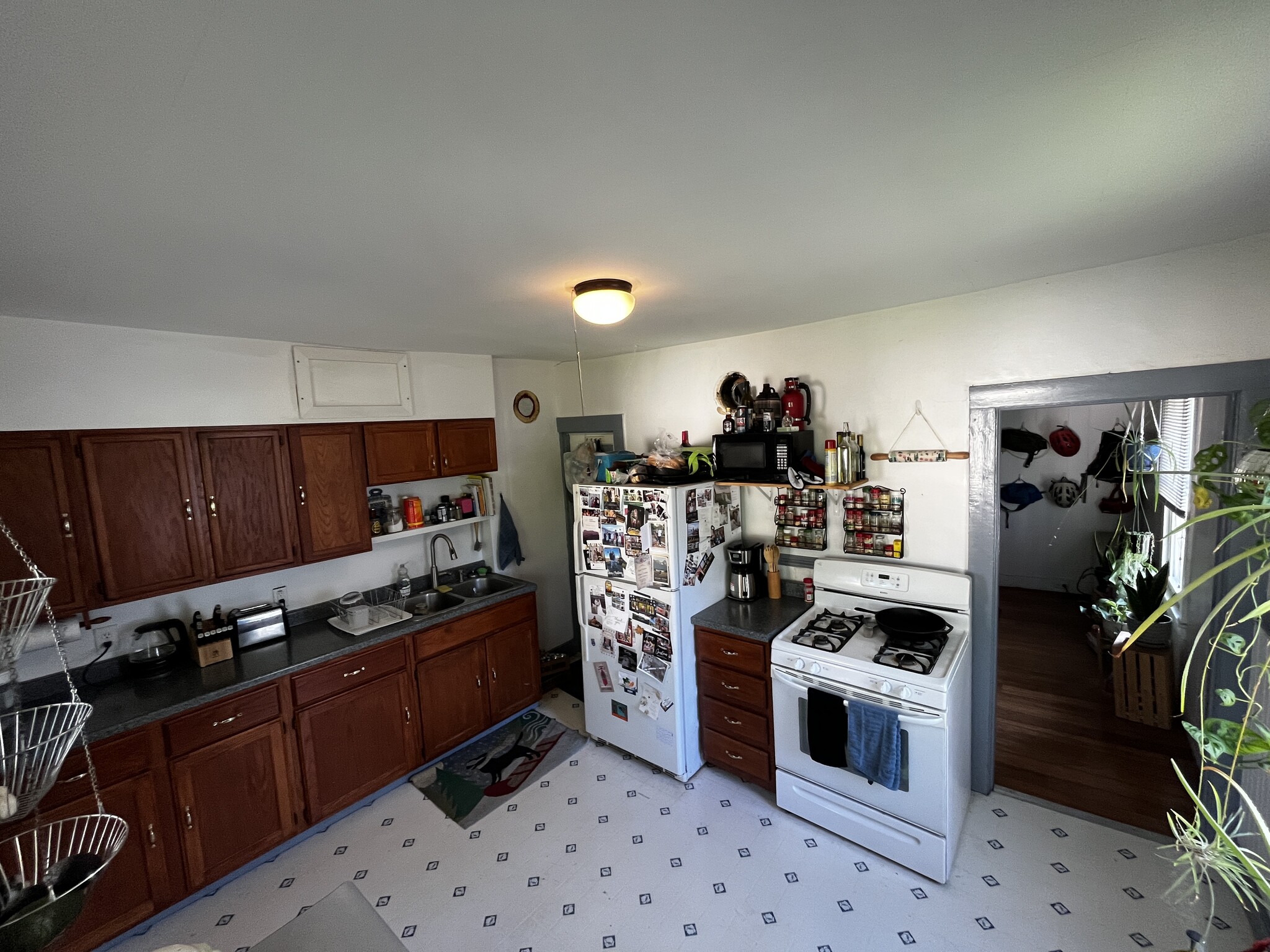 Kitchen - 83 Hayward St