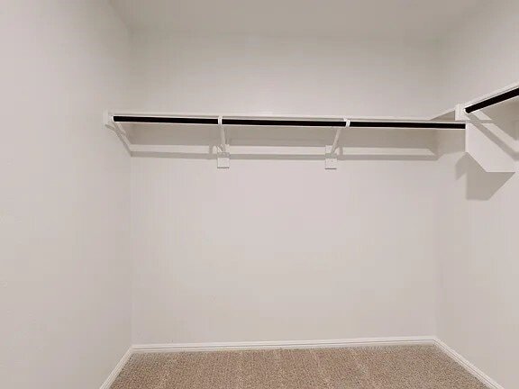 Building Photo - 3316 Coronation Ct