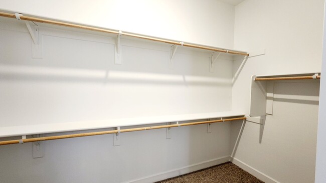 Building Photo - NEW 3 Bedroom home in ZANJERO TRAILS!