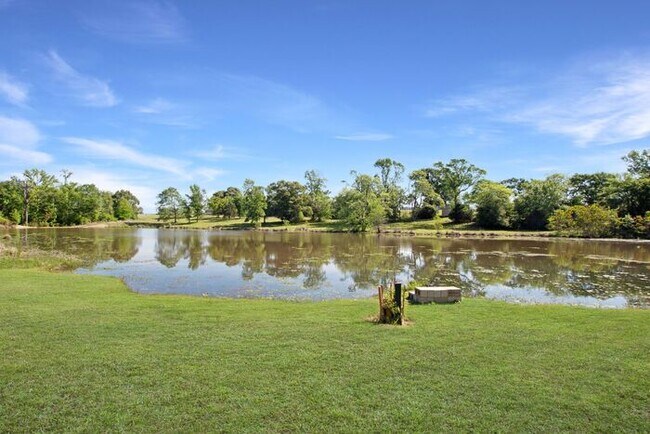 Building Photo - Tour Today! Beautiful 4-Bedroom, 2-Bathroom Home Overlooking a Pond!