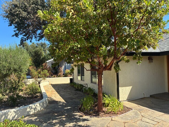 Building Photo - 1105 Del Nido Ct