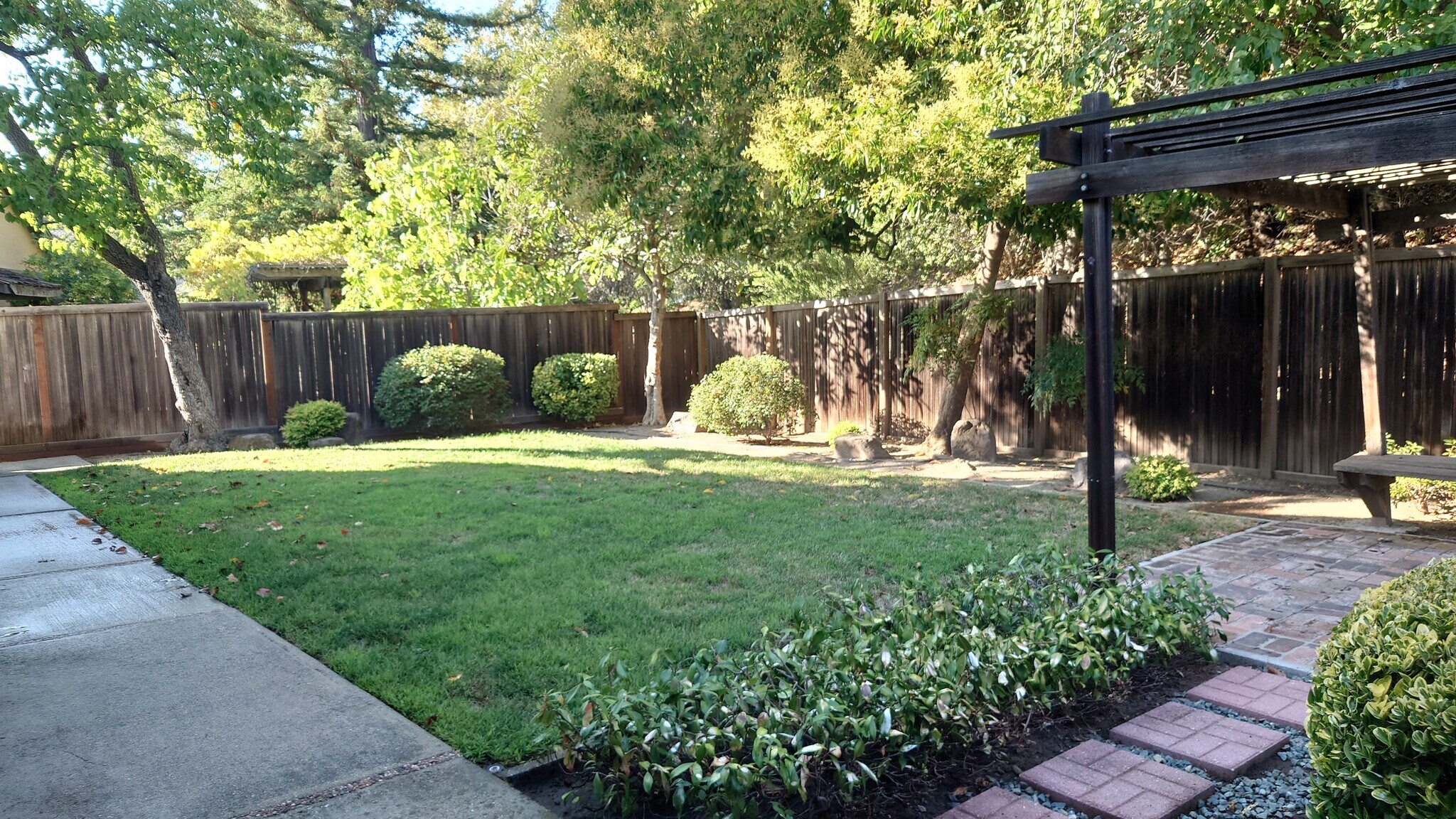 fenced backyard - 636 Montezuma Ct